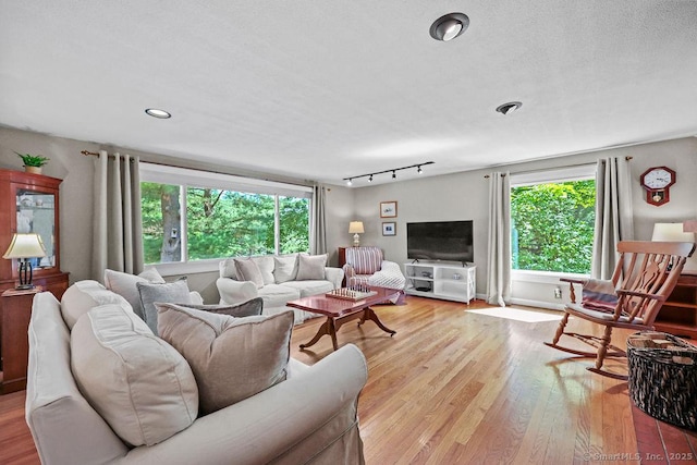 18 Chestnut Hill Rd, Simsbury, CT 06092 - living room with plenty of natural light, wood finished floors, track lighting, and recessed lighting