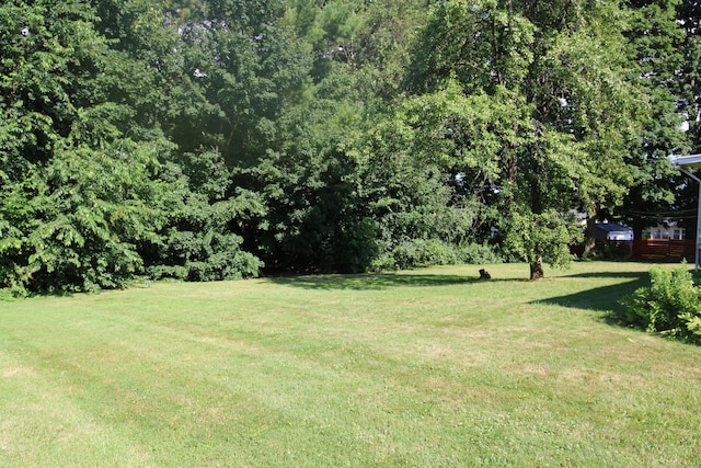2337 Stanley St, New Britain, CT 06053 - view of grassy yard