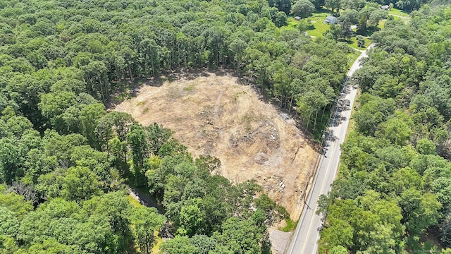 Tolland Tpke, Willington, CT 06279 - photo 4