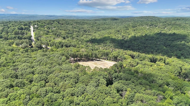 Tolland Tpke, Willington, CT 06279 - photo 9