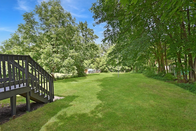 31 Chapman St, New Britain, CT 06051 - view of green lawn with stairs