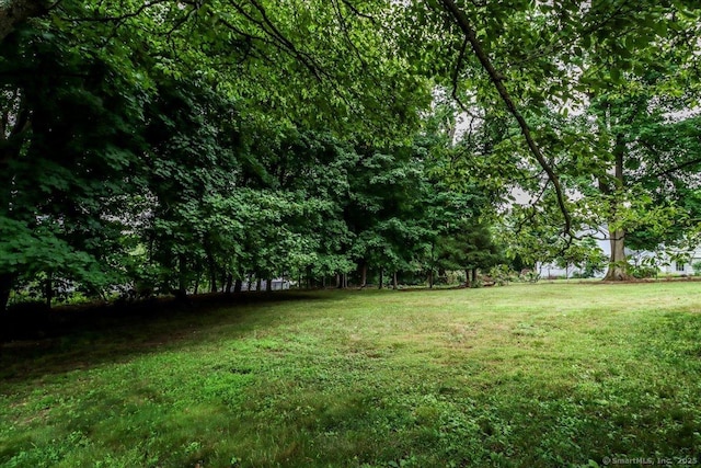 1384 N Benson Rd, Fairfield, CT 06824 - view of yard