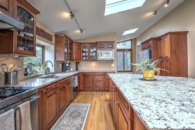 150 Westwood Rd, New Haven, CT 06515 - kitchen featuring rail lighting, a skylight, extractor fan, stainless steel appliances, and vaulted ceiling