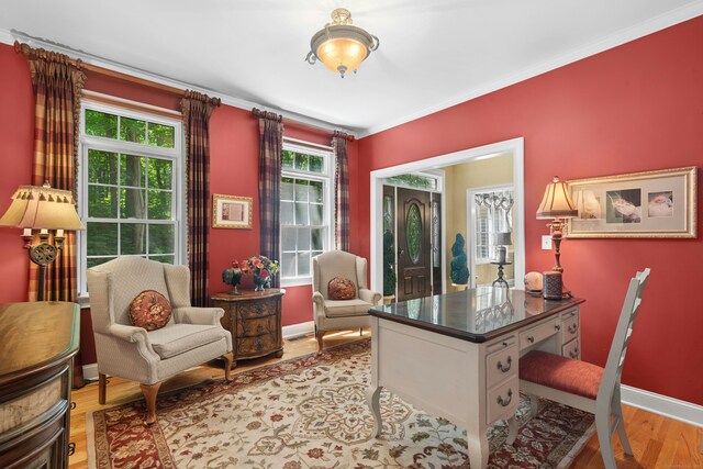 20 Lisbon Ter, Oxford, CT 06478 - office space featuring plenty of natural light, wood finished floors, and ornamental molding