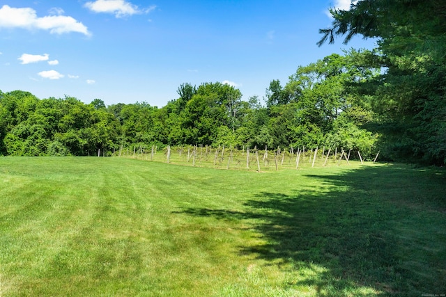 38 School Rd, Colchester, CT 06415 - photo 8