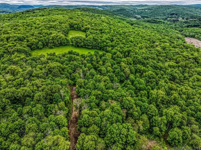 430 Long Mountain Rd Lot 1, New Milford, CT 06776 - photo 9