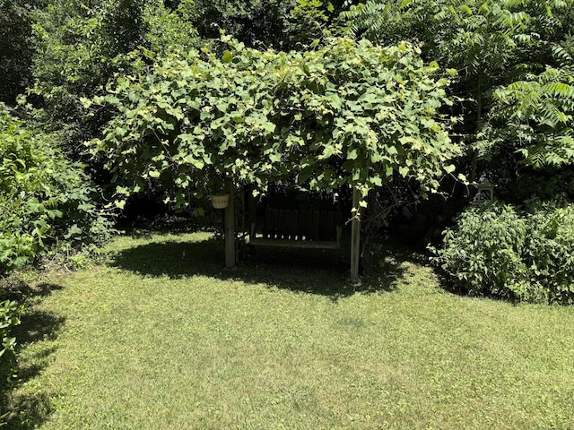 28 Maplerow Ave, Waterbury, CT 06705 - view of green lawn