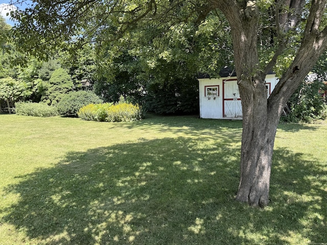 28 Maplerow Ave, Waterbury, CT 06705 - view of green lawn with a shed