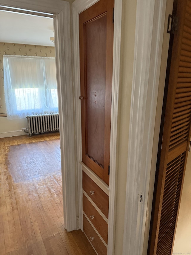 28 Maplerow Ave, Waterbury, CT 06705 - hall featuring radiator heating unit and light wood finished floors