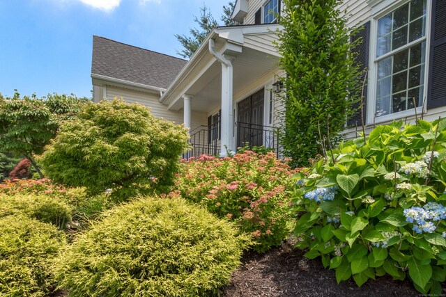 81 Salem Rd, Trumbull, CT 06611 - photo 34