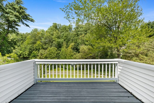 59 Snowberry Ln, New Canaan, CT 06840 - photo 26