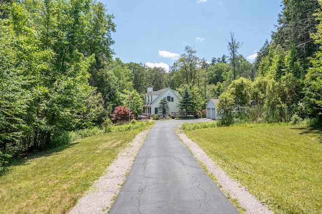 793 Colebrook Rd, Colebrook, CT 06021 - photo 34