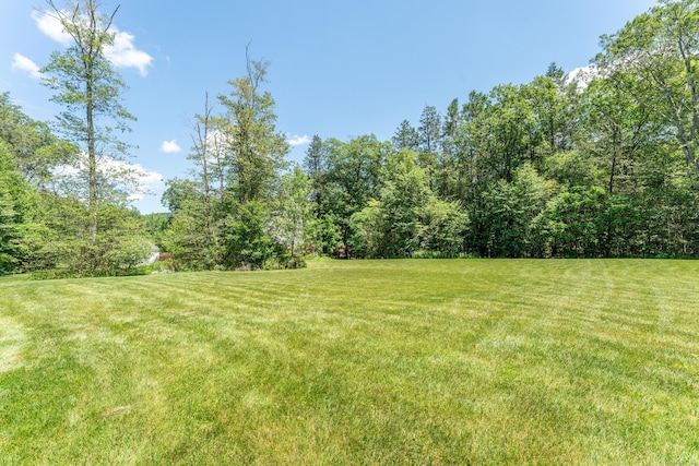 793 Colebrook Rd, Colebrook, CT 06021 - photo 27