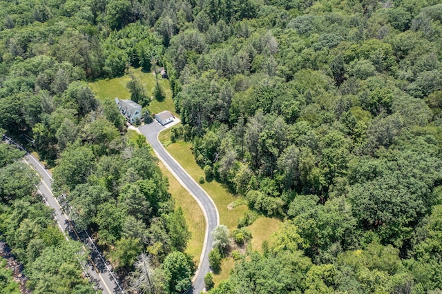 793 Colebrook Rd, Colebrook, CT 06021 - photo 37