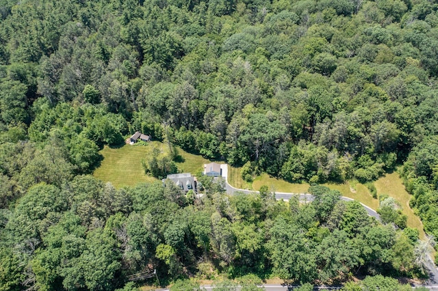793 Colebrook Rd, Colebrook, CT 06021 - photo 35
