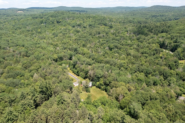 793 Colebrook Rd, Colebrook, CT 06021 - photo 36