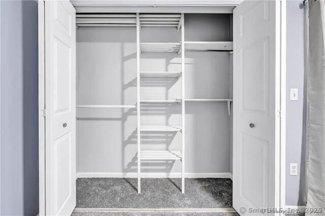 175 Mill Pond Rd Unit 203, Hamden, CT 06514 - view of closet