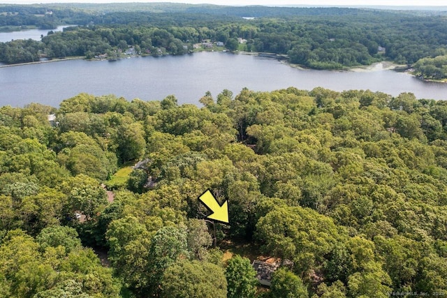 40 Clearview Rd, East Haddam, CT 06469 - aerial view of a forest and a large body of water