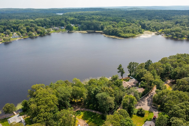 40 Clearview Rd, East Haddam, CT 06469 - drone / aerial view of a large body of water