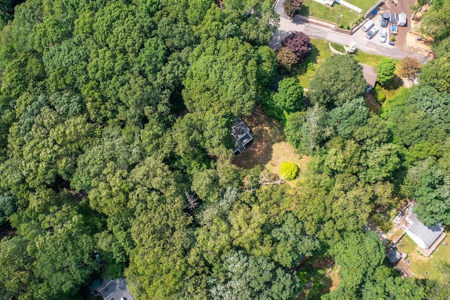 40 Clearview Rd, East Haddam, CT 06469 - view of property location with a forest