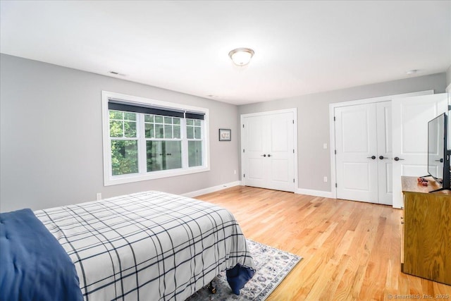 11 Tall Oaks Dr Unit 11, New Milford, CT 06776 - bedroom featuring two closets and light wood-style flooring