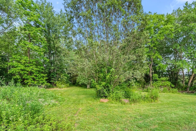 20 Mack Rd, Middlefield, CT 06455 - view of grassy yard