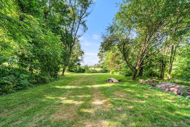 20 Mack Rd, Middlefield, CT 06455 - view of green lawn
