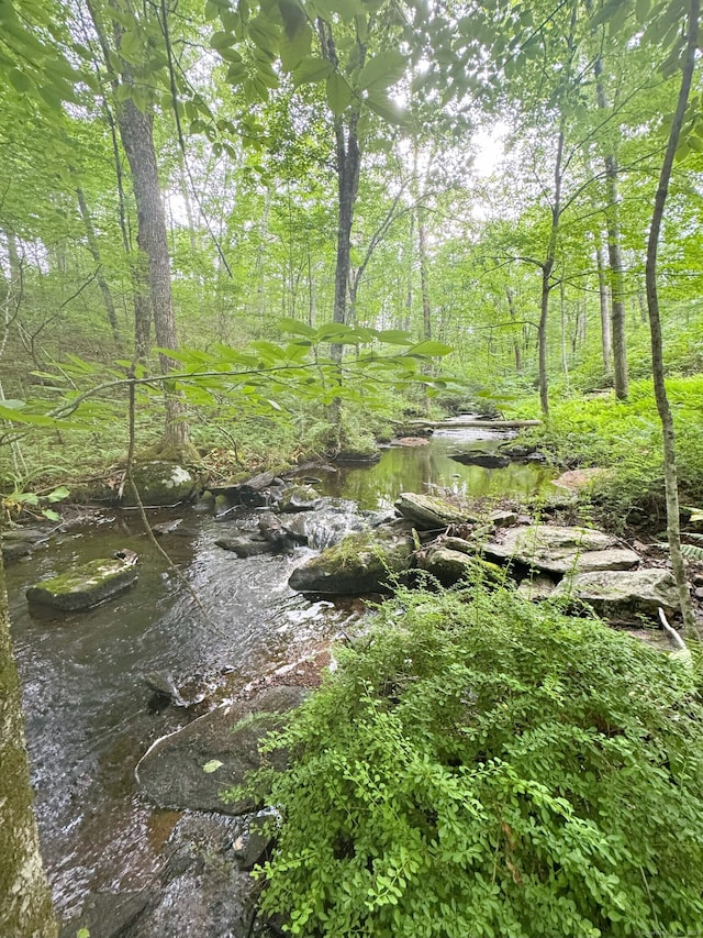 60 Olsen Dr, Mansfield, CT 06250 - view of local wilderness
