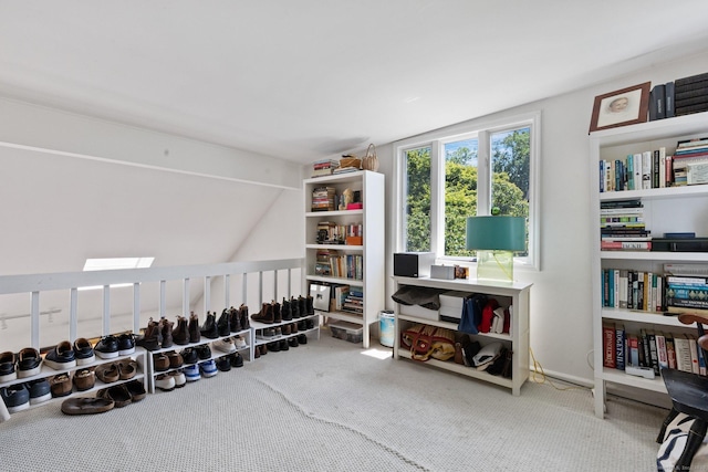 14 Highview Ave, Greenwich, CT 06870 - misc room featuring carpet and vaulted ceiling