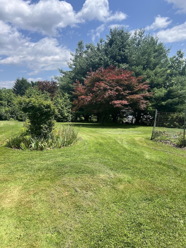 185 Chimney Hill Rd, Wallingford, CT 06492 - view of grassy yard