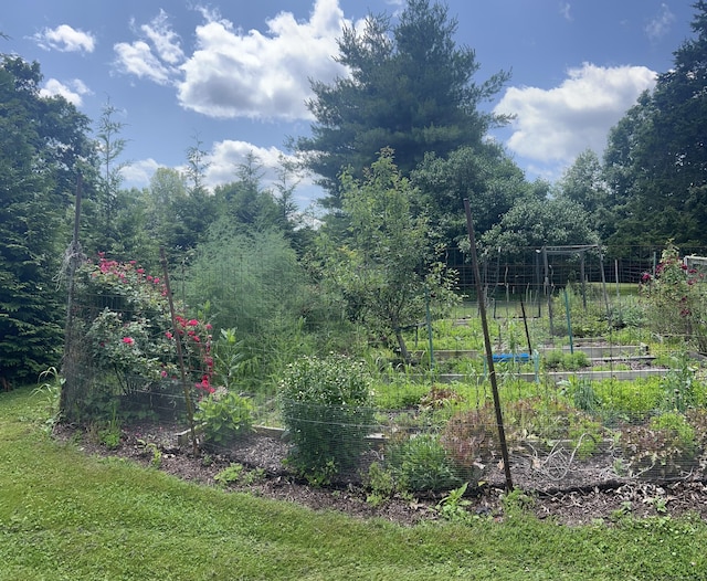 185 Chimney Hill Rd, Wallingford, CT 06492 - view of yard featuring a garden