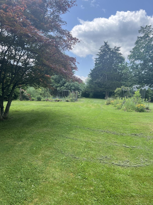 185 Chimney Hill Rd, Wallingford, CT 06492 - view of grassy yard