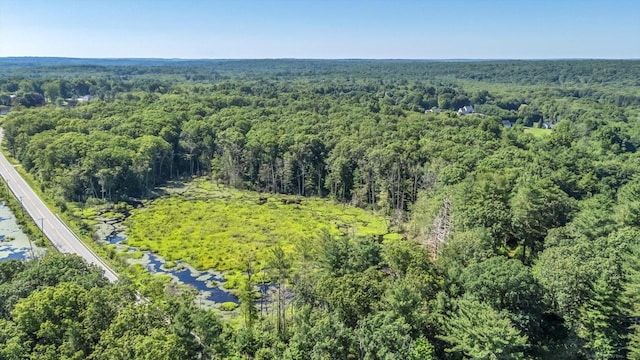 Trumbull Hwy, Lebanon, CT 06249 - photo 4