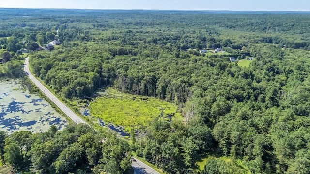 Trumbull Hwy, Lebanon, CT 06249 - photo 6