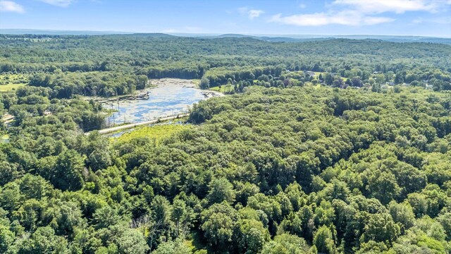 Trumbull Hwy, Lebanon, CT 06249 - photo 10