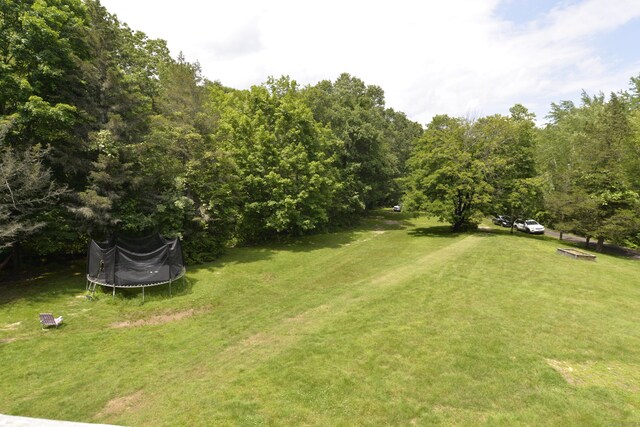 33 Oneil Rd, Oxford, CT 06478 - view of green lawn featuring a trampoline