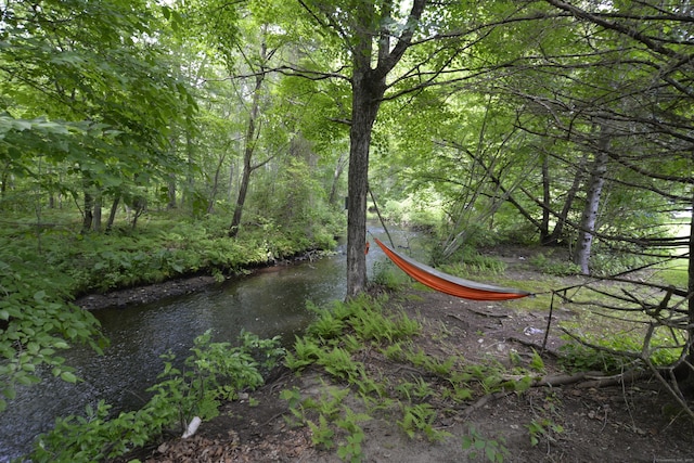 33 Oneil Rd, Oxford, CT 06478 - view of nature