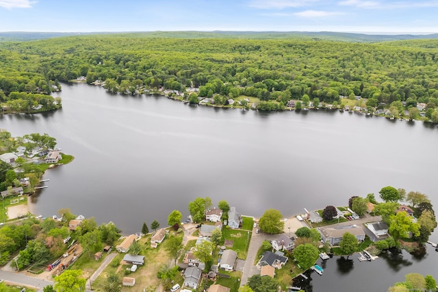11 Bayside Dr, Wales, MA 01081 - aerial view of residential area featuring a large body of water