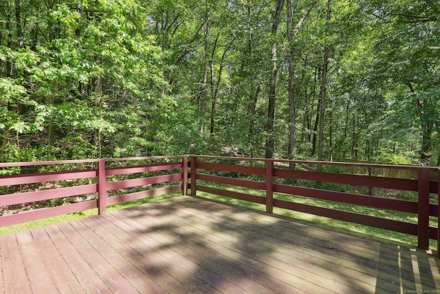 10 New Light Dr, Danbury, CT 06810 - photo 19