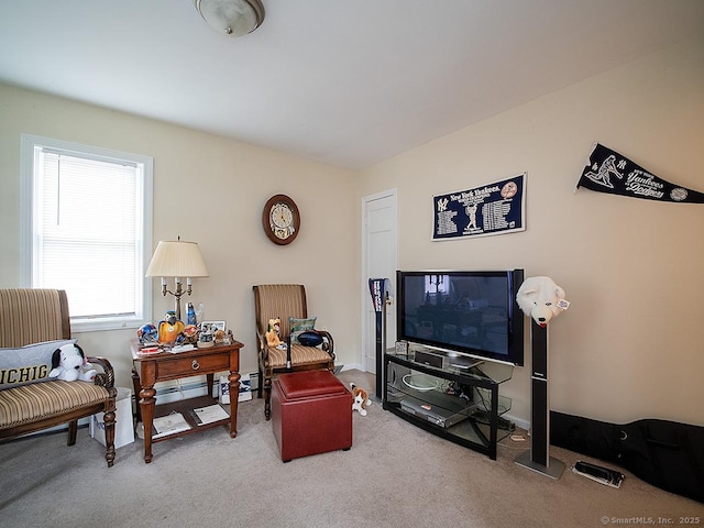 37 Landin St, Woodbridge, CT 06525 - living room featuring carpet floors and healthy amount of natural light