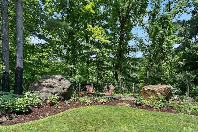 20 Aspen Mill Rd, Ridgefield, CT 06877 - view of grassy yard