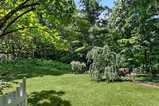 20 Aspen Mill Rd, Ridgefield, CT 06877 - view of green lawn