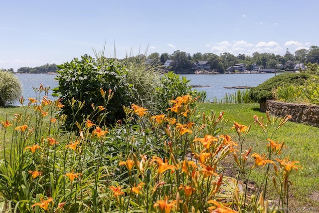 105 Beckett Ave Unit 105, Branford, CT 06405 - water view