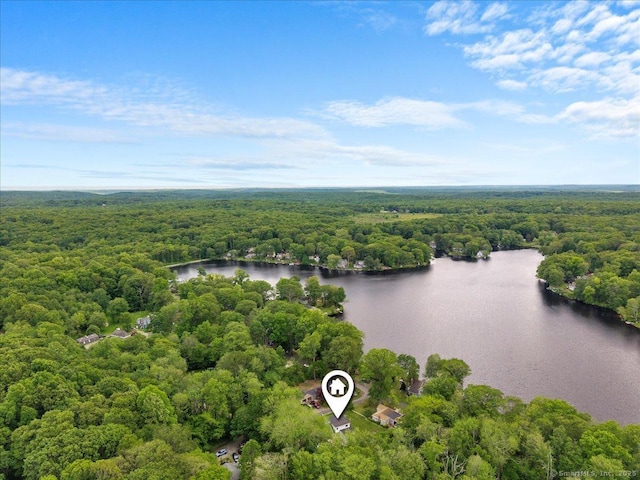 10 3rd Ave, Haddam, CT 06441 - bird's eye view of a forest and a large body of water