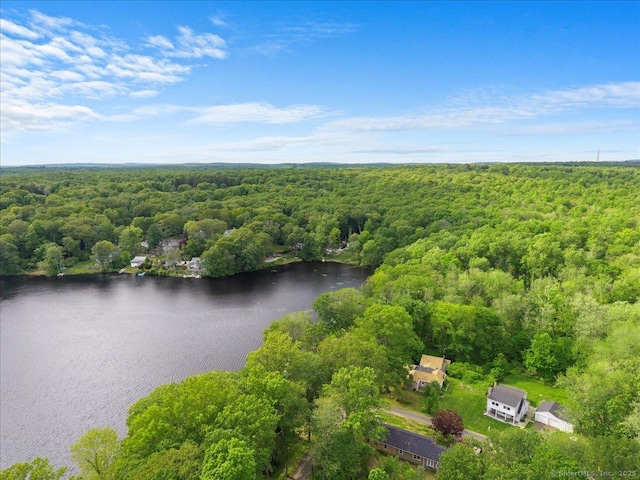 10 3rd Ave, Haddam, CT 06441 - aerial view of a heavily wooded area and a nearby body of water