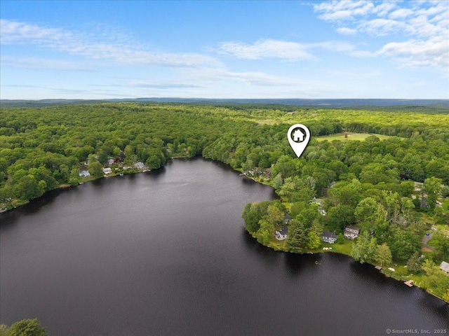 10 3rd Ave, Haddam, CT 06441 - aerial view of property's location with a heavily wooded area and a nearby body of water