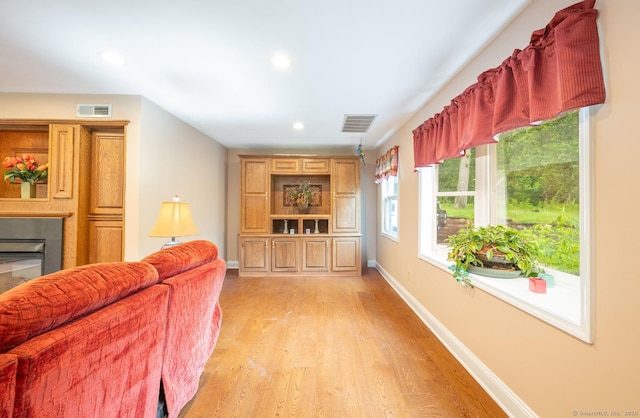 79 Ben Whitney Ln, Bridgewater, CT 06752 - living room featuring light wood finished floors, recessed lighting, and a glass covered fireplace