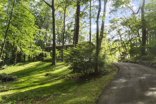 103 Dean Rd, East Lyme, CT 06333 - photo 10