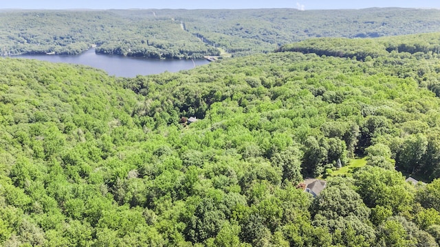 44 Oakmont Trl, Monroe, CT 06468 - photo 37