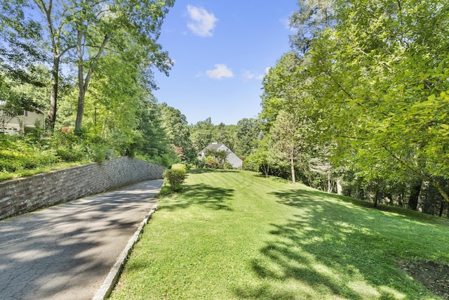 44 Oakmont Trl, Monroe, CT 06468 - photo 39